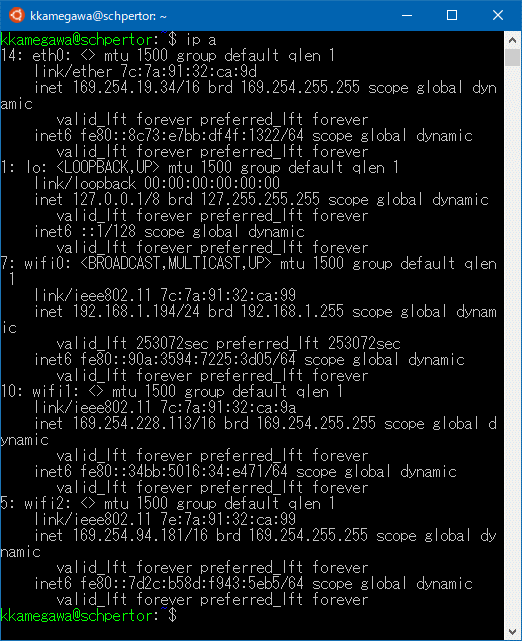 図8 ネットワーク系コマンドの実行例(ipコマンド)