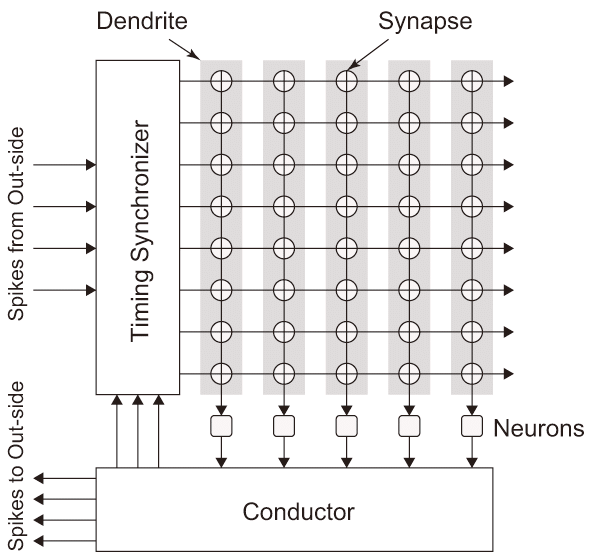 図3.2(a) Neuron and STDP Model.: Neuromorphic Computing Hardware Basic Structure.