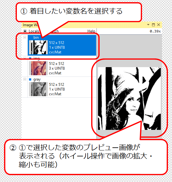図6 着目したい画像を選択すると画像のプレビューが表示される(ホイール操作で画像の拡大・縮小も可能)